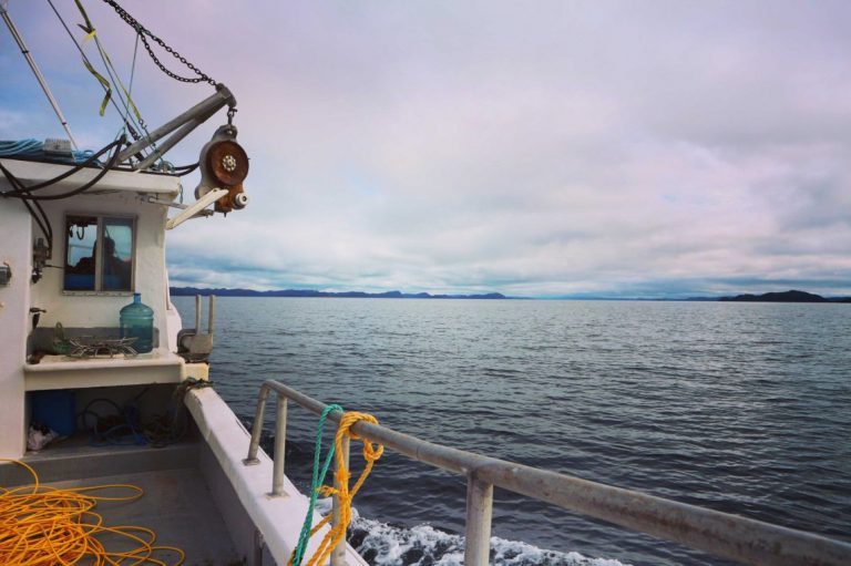 Province rejects Grieg NL Placentia Bay mega project appeal