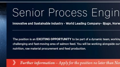 MH_SrProcessEng_ 980x300px_B