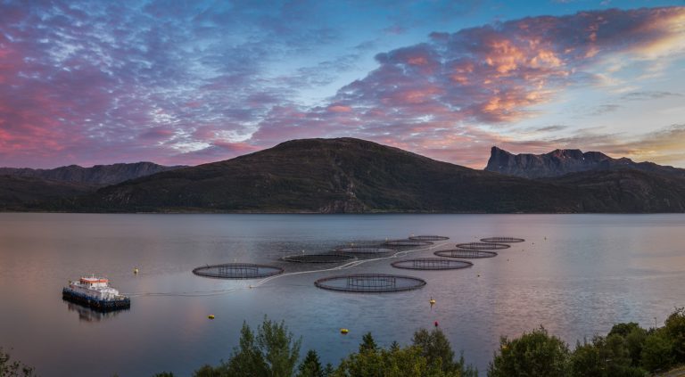 Provincial aquaculture industry applauds minister’s decision to proceed with an aquaculture act