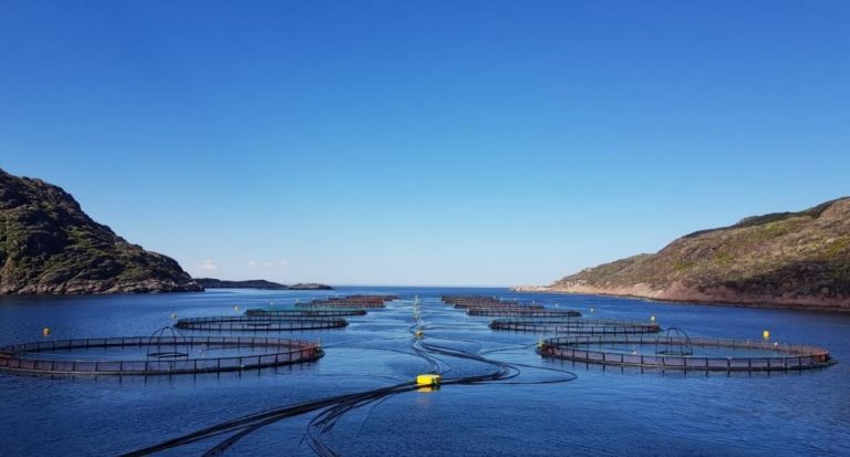 Its fjord access limited, Russian Aquaculture focuses at home