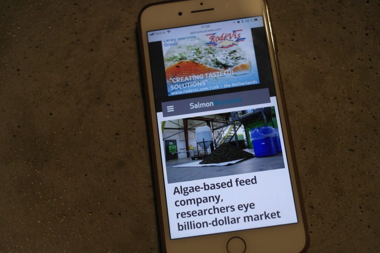 SalmonBusiness hits 11,500-reader mark