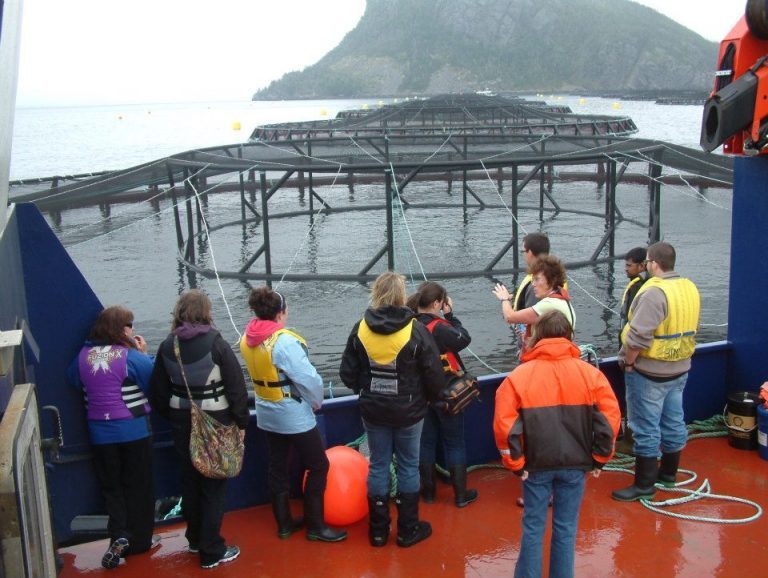 Cermaq, Marine Harvest in Canada recruitment drive