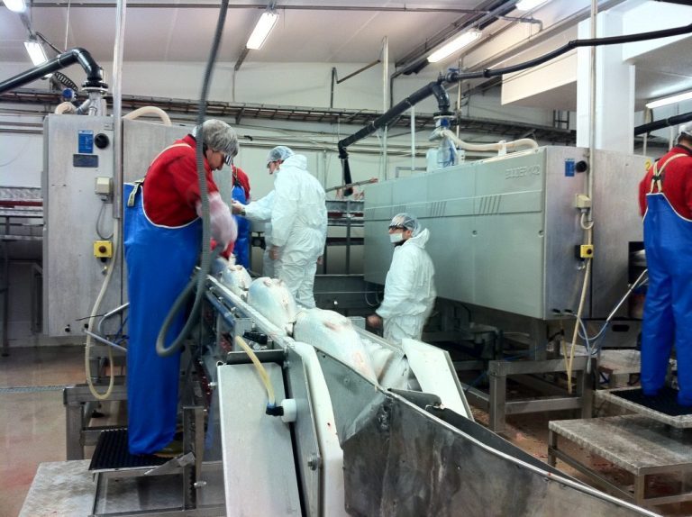 Russian Aquaculture to buy processor stake