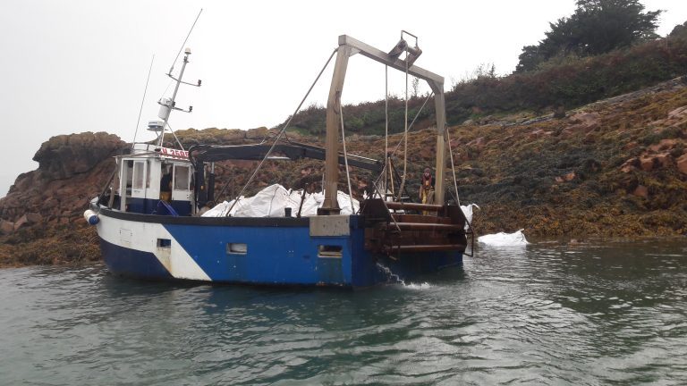 First French offshore trout farm licence since ’96