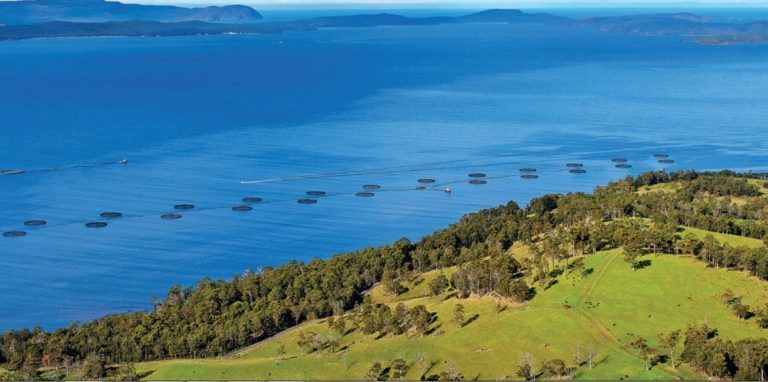 Cooke would rather put their salmon money in Australia than Canada