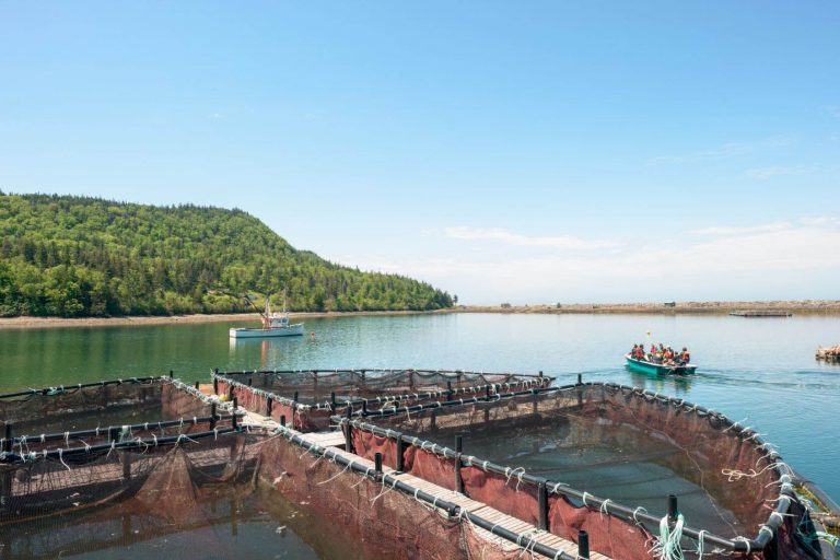 Cooke wild-salmon farm a ‘world first’