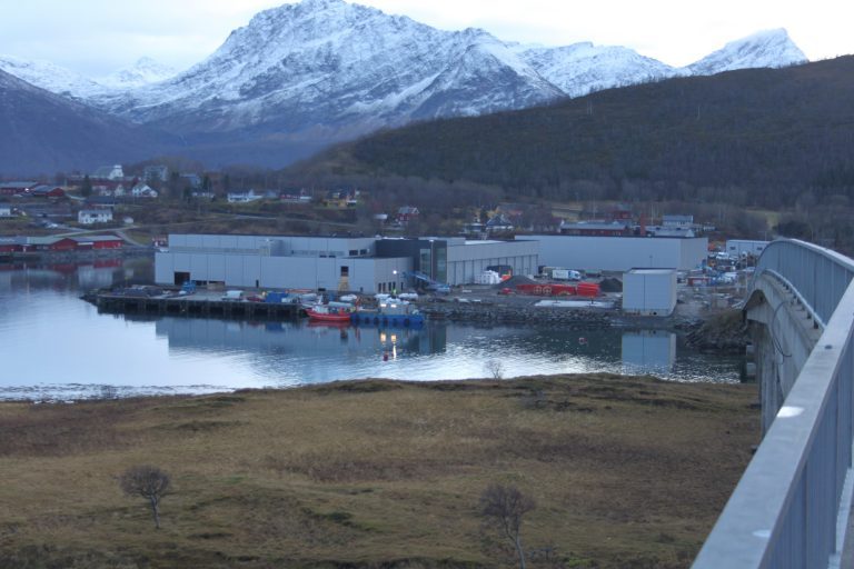 Cermaq slaughterhouse finds bidder