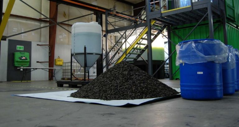 Algae-based feed company, researchers eye billion-dollar market