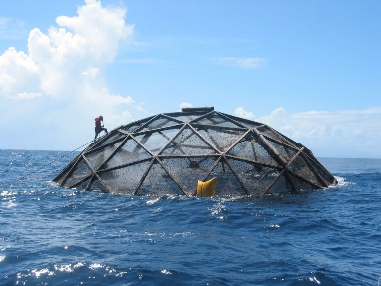 Court blocks US federal aquaculture plans