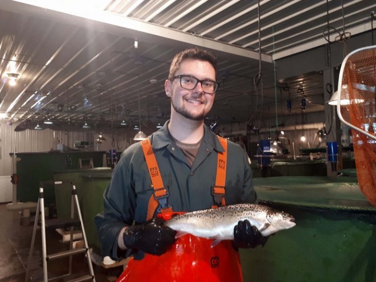 Researcher seeks right GM grow-out