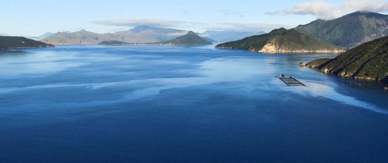 New Zealand sellers’ margins are King