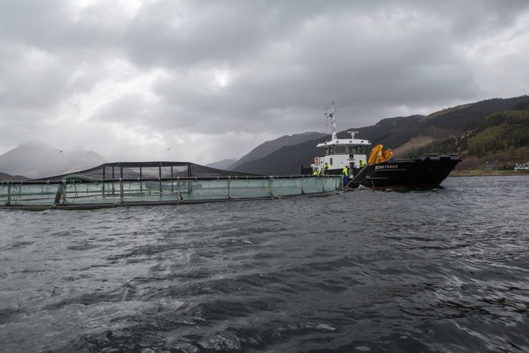 Scots produce 8% more salmon in 2017