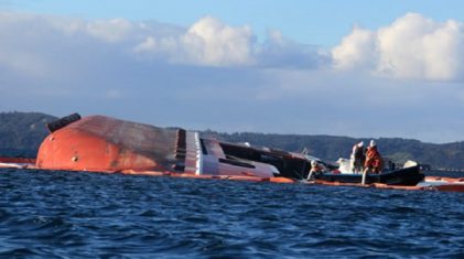 Seikongen Greenpeace