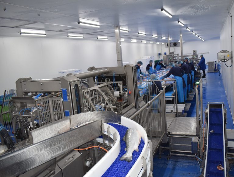 Expansion at Dutch processor Urker Zalmhuys