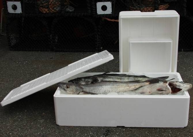 Danish package deal for Jackon