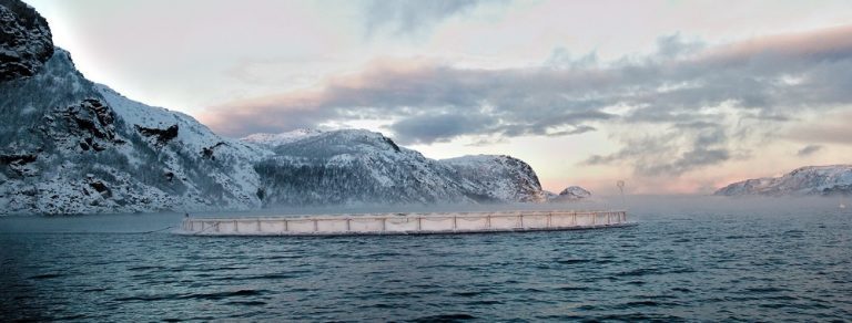 Lassesen takes the helm at Villa Seafood