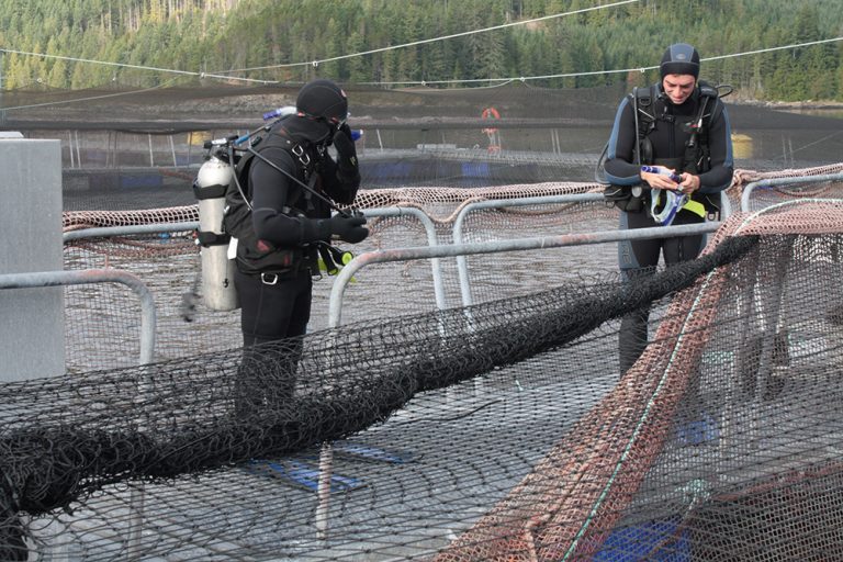 Fatal diving accident reported at salmon farm