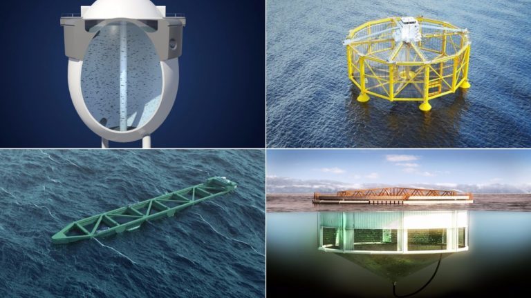 “Space projects” doomed, seafood CEO says