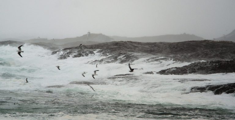 Storm Caroline stalking Christmas exports