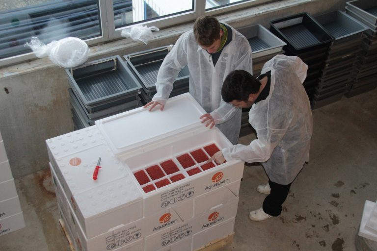 ISA in roe could create supply bottleneck