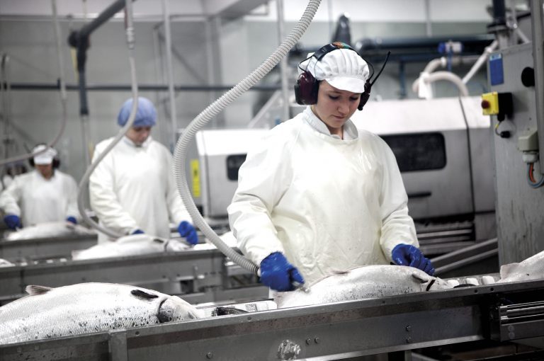 Big fish, flight strongly linked, evidence shows