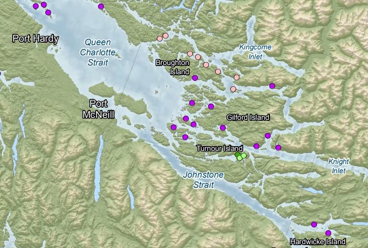 BC meetings flag fish-farm “moves”
