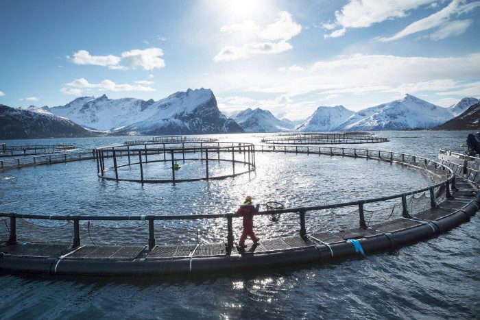 Canada link in Blueday Technology, Grieg pact