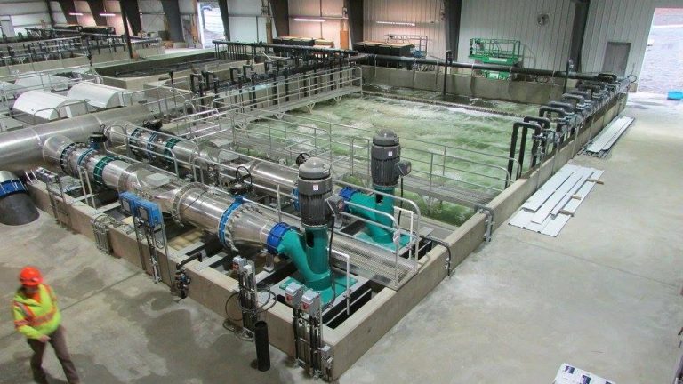 Marine Harvest adjusts RAS, eyes 7.5 Mn smolt
