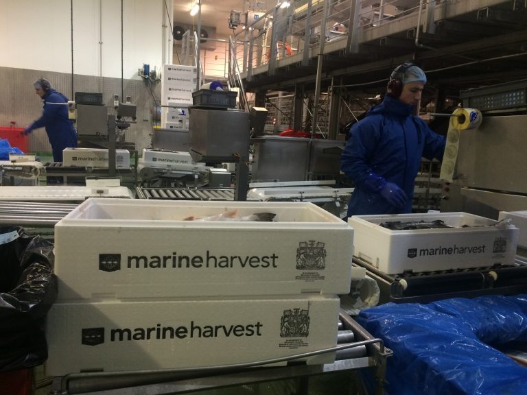 Scots’ Brexit worries pile up