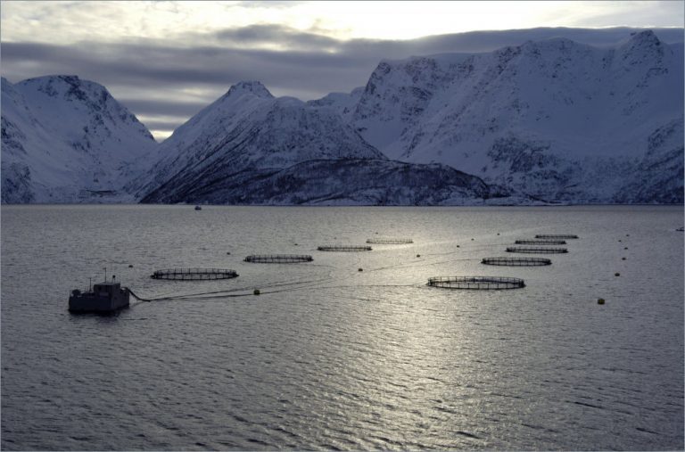 Norway’s market share shrinking