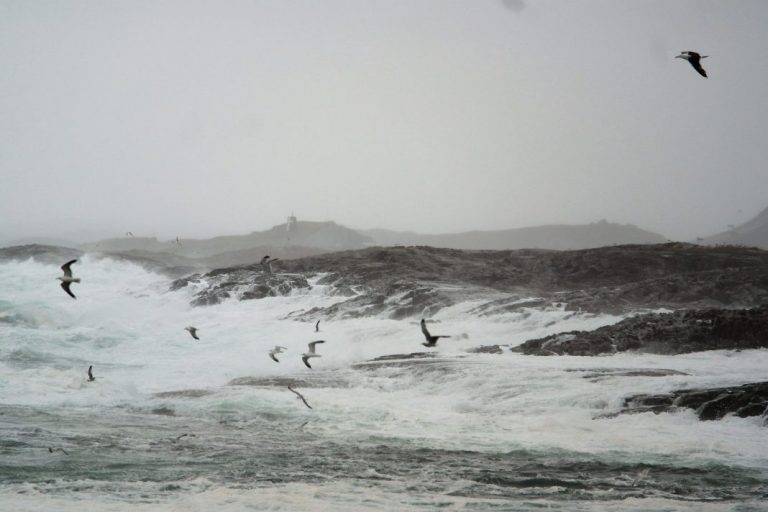 Weather, shortages lift prices over €5.20