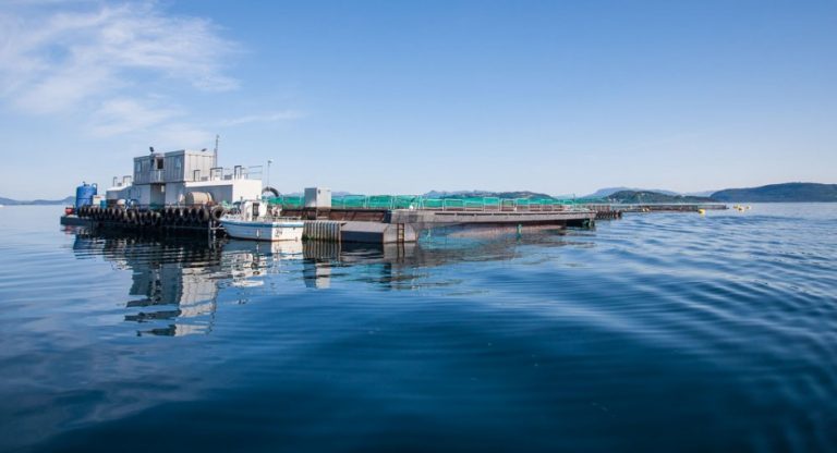 Supply surplus curbing prices