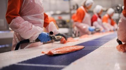 marine harvest process