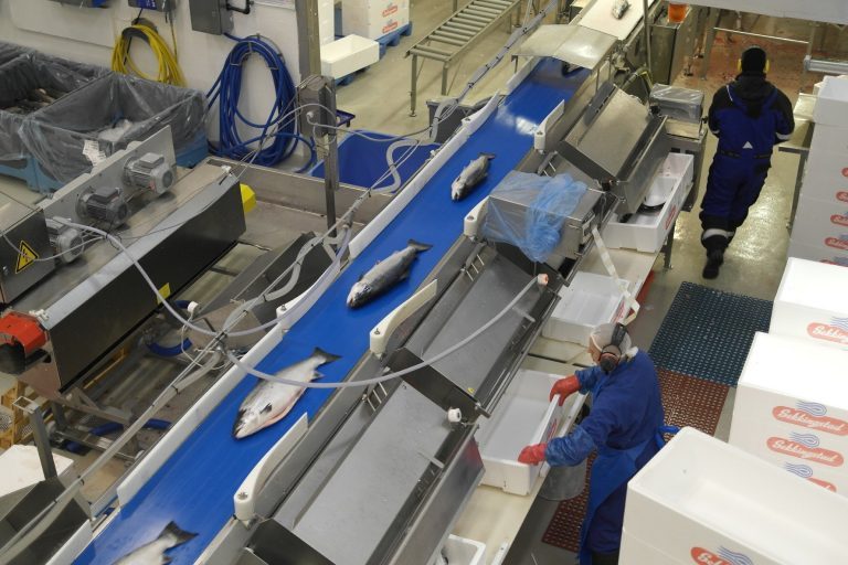 Chinese to inspect primary Norwegian processing