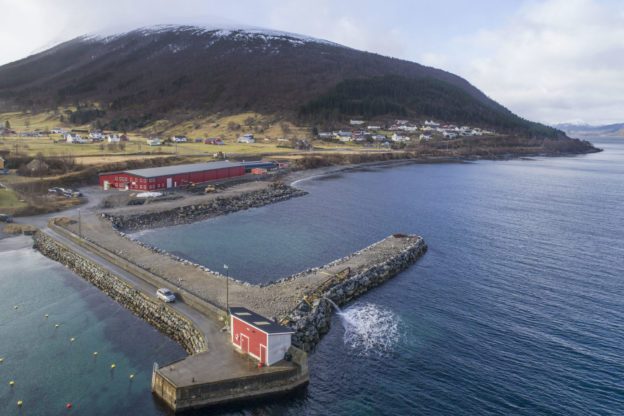 Aqua Gen to ramp up roe production in Norway