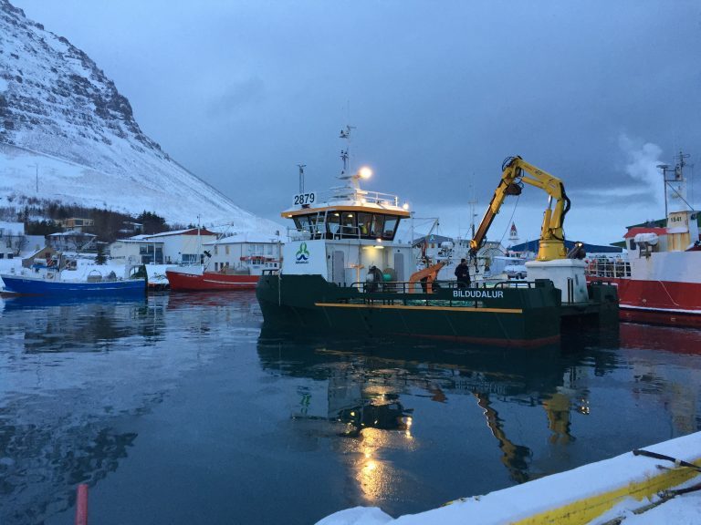 Arnarlax posts modest EBIT after doubling harvest