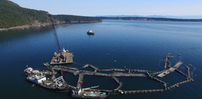 Apart from anchors, Cooke farms get “passing grade”