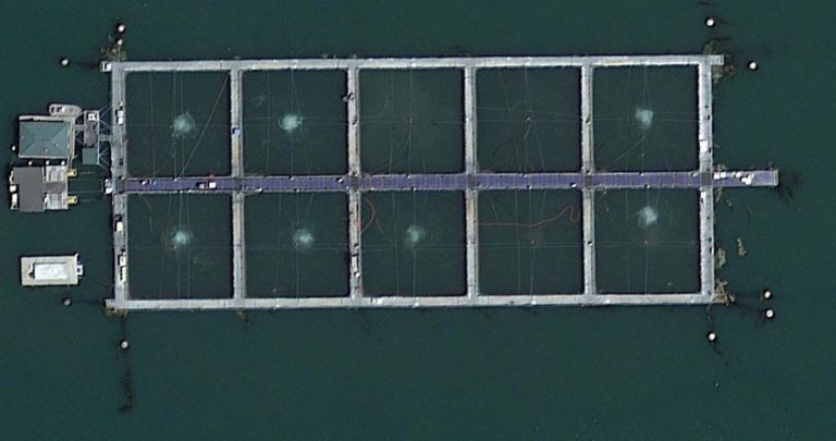 Scientists, ex-Senator fight new anti-aquaculture bill