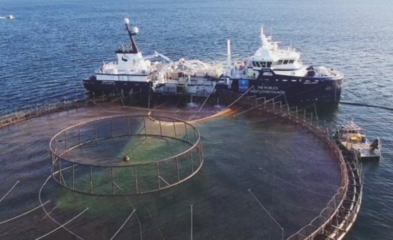 Huon earnings up 49%, as it “re-enters” Asia