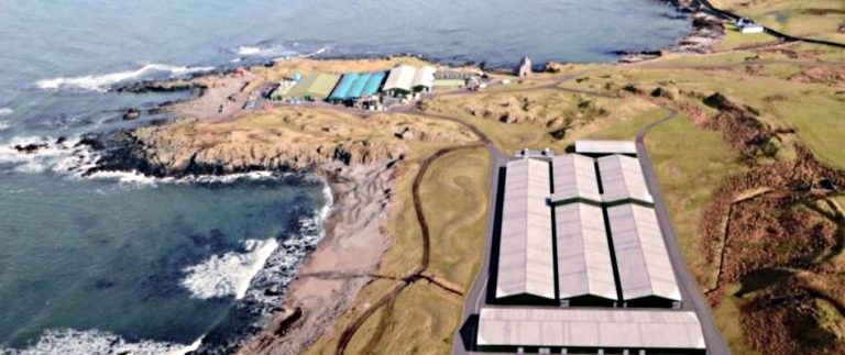 Marine Harvest to build £6 Mn Scottish lumpfish hatchery
