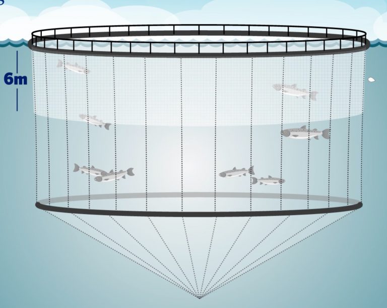 Scottish Sea Farms raises lice shields, health spending