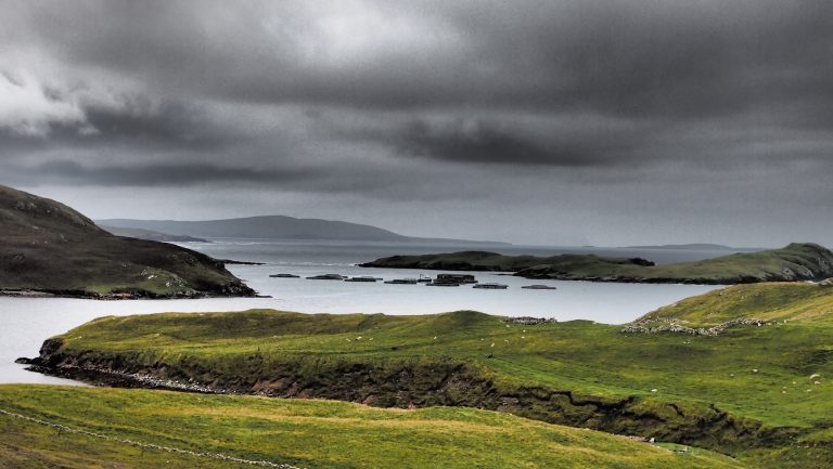 Cooke: Brexit, or grow-out curbs, would cause Shetland “serious” harm