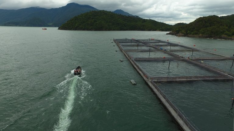 Red Tide a focus, as SALMON starts trading in Oslo