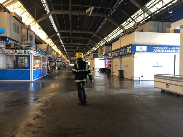 Mercamadrid: one location, 150,000 t of seafood