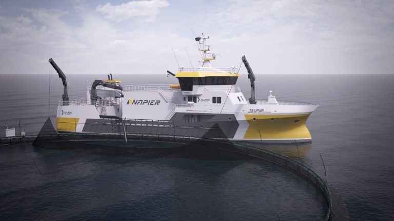 Napier and Norwegian yard pen process-boat deal