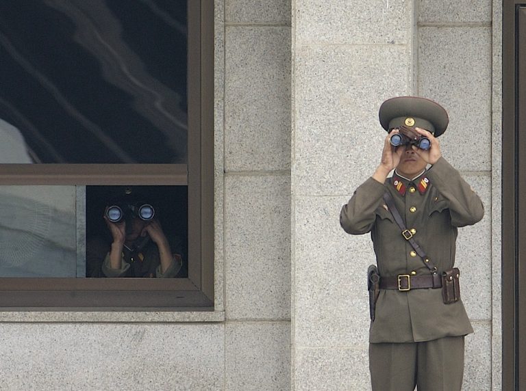 Norwegian roe propped up North Korea’s military: report