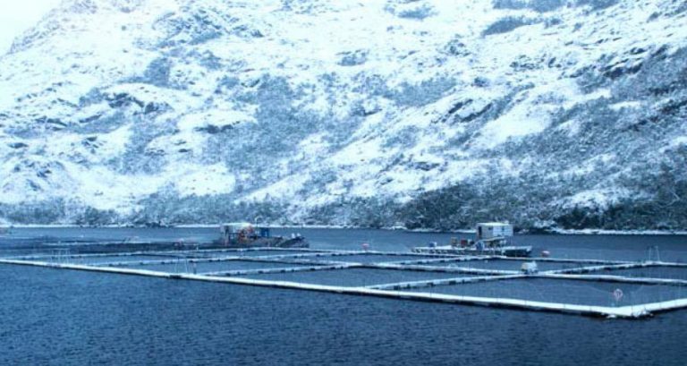 Nova Austral responds to “Salmon Leaks” accusations