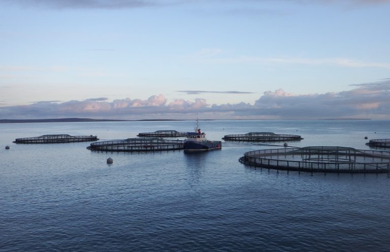 Gael Force Group and Fusion Marine to join forces