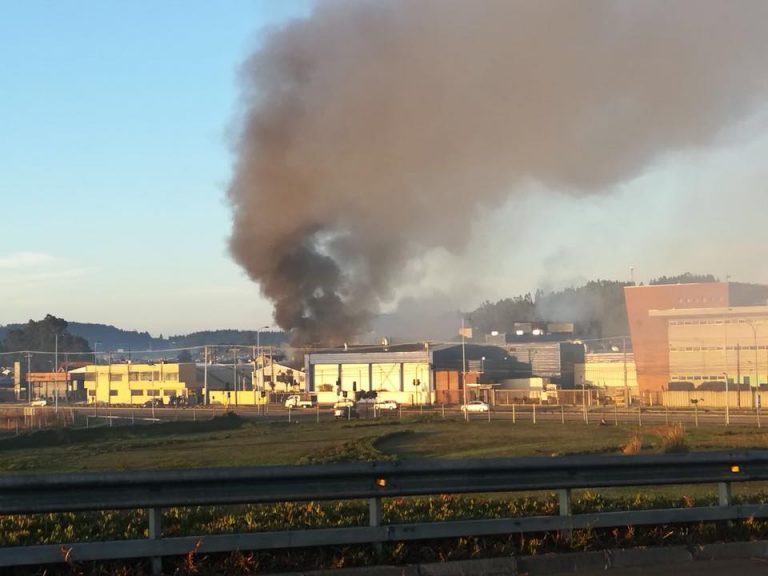240 evacuated after fire at Blumar factory