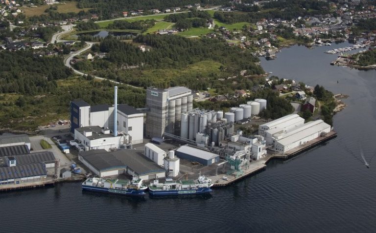 Cargill earnings down 22%, as US tax rules bite